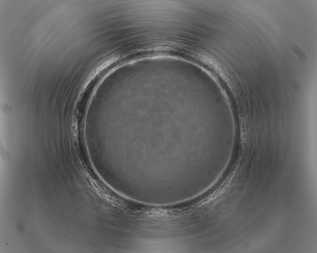 X0000090930827200708061601