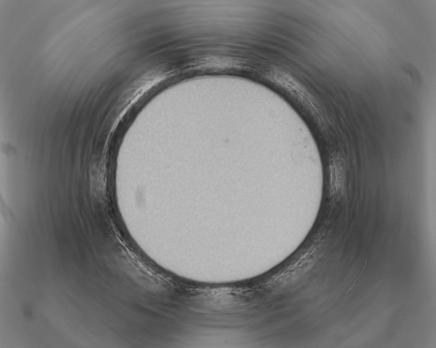 X0000090930828200708061601