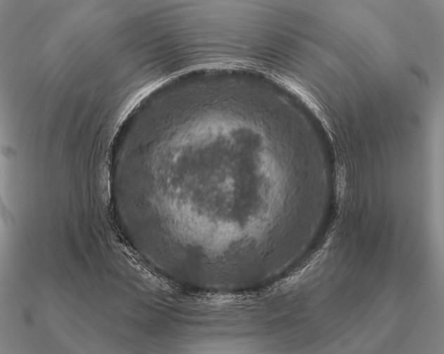 X0000090930829200708061601