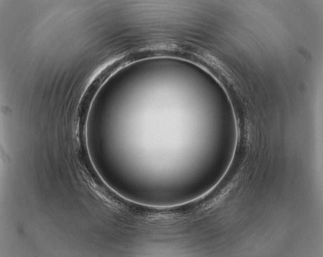 X0000090930830200708061601