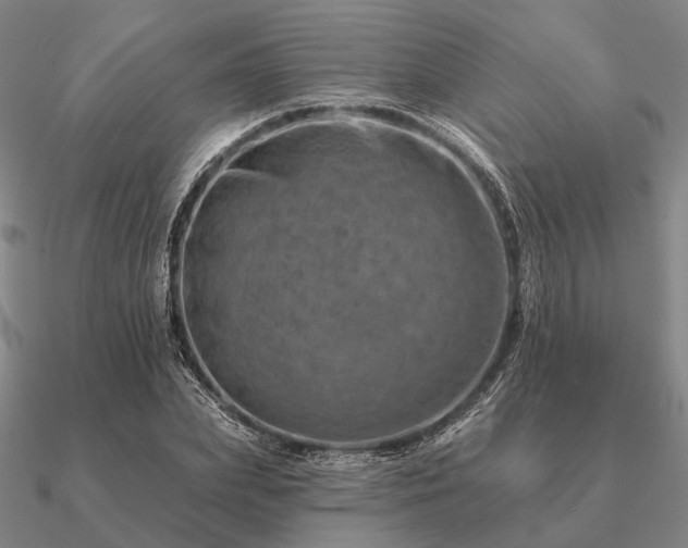 X0000090930831200708061601