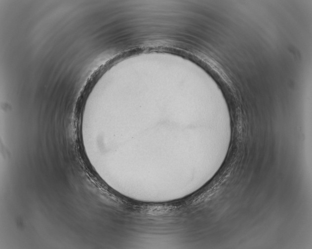 X0000090930832200708061601