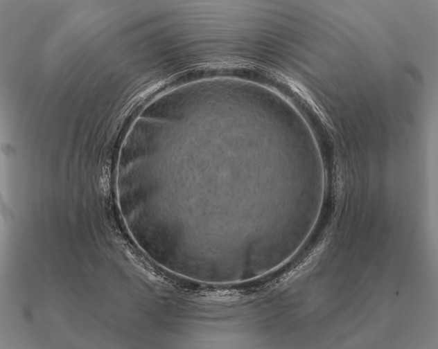 X0000090930833200708061601