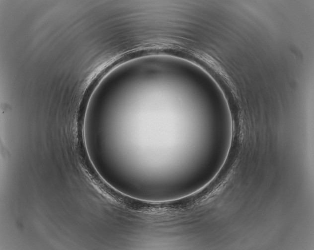 X0000090930834200708061601