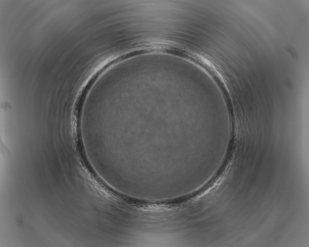 X0000090930835200708061601