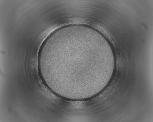 X0000090930836200708061601