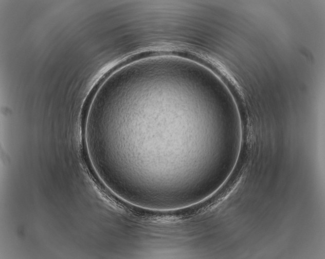 X0000090930837200708061601