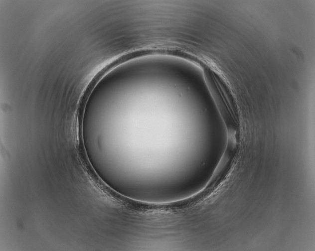 X0000090930838200708061601