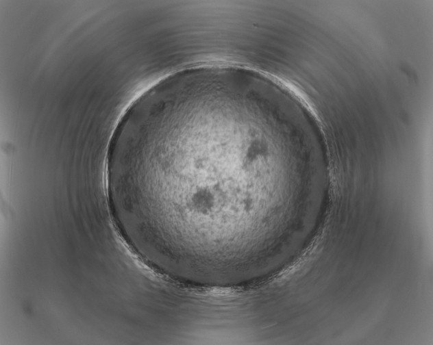 X0000090930839200708061601