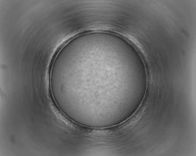 X0000090930840200708061601