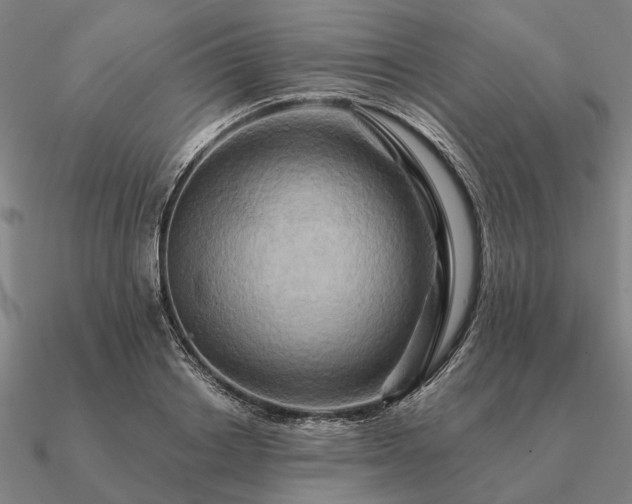 X0000090930842200708061601