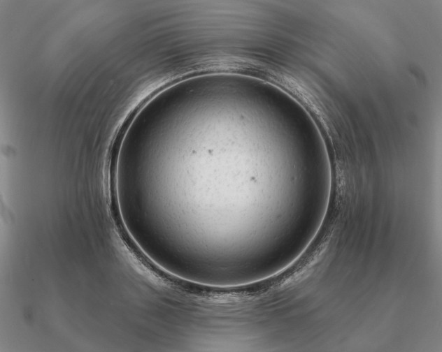 X0000090930843200708061601