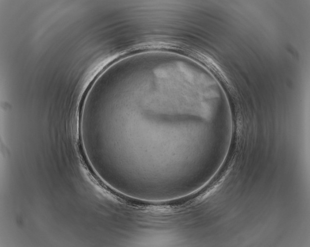 X0000090930844200708061601