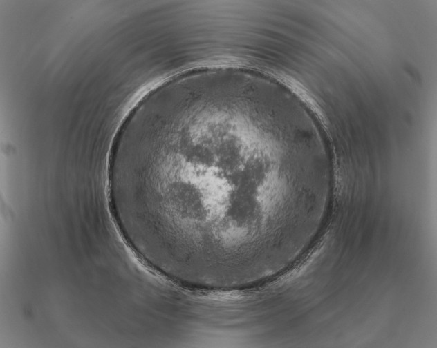 X0000090930845200708061601