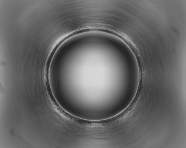 X0000090930846200708061601