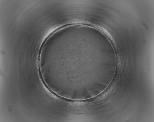 X0000090930847200708061601