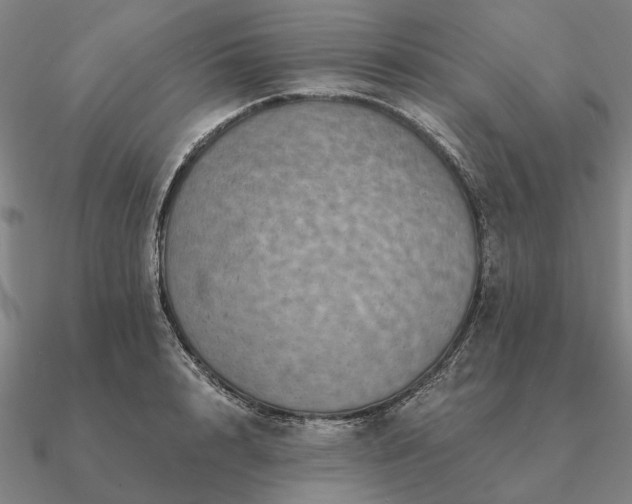 X0000090930848200708061601