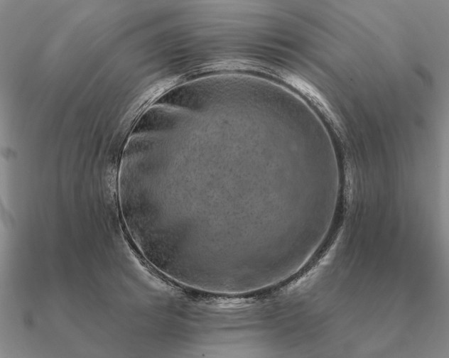 X0000090930849200708061601