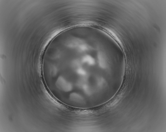 X0000090930851200708061601