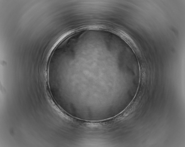 X0000090930852200708061601