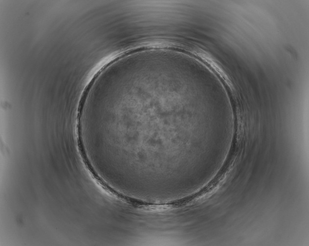 X0000090930853200708061601