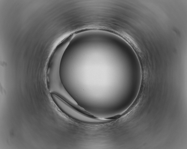 X0000090930854200708061601