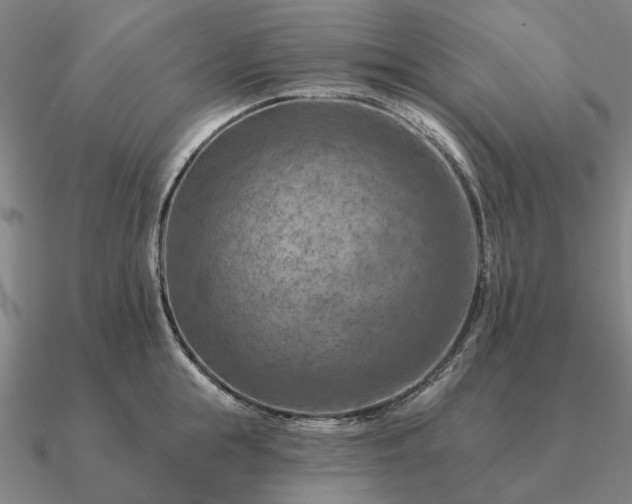 X0000090930855200708061601