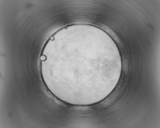 X0000090930856200708061601