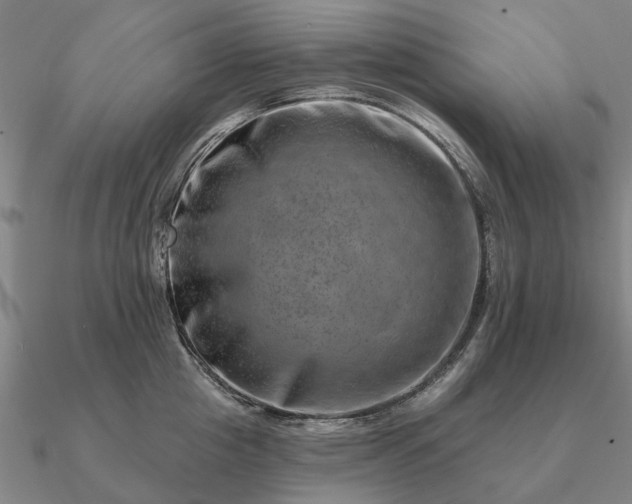 X0000090930857200708061601