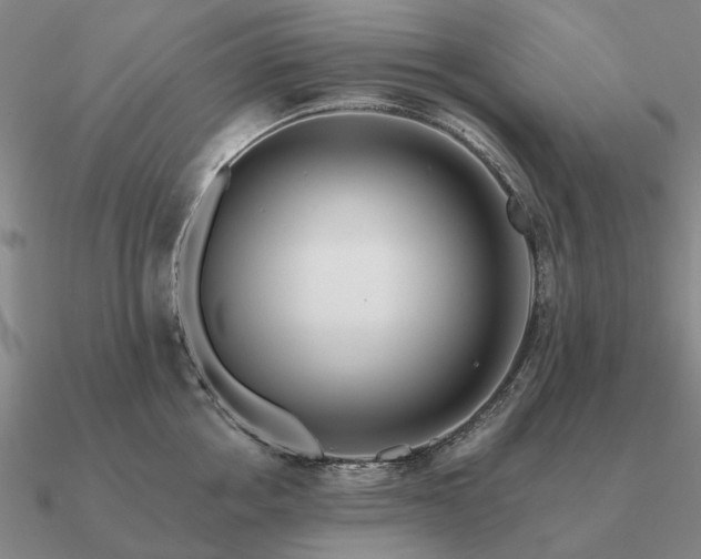 X0000090930858200708061602