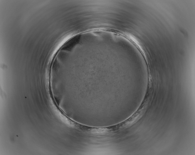 X0000090930859200708061602