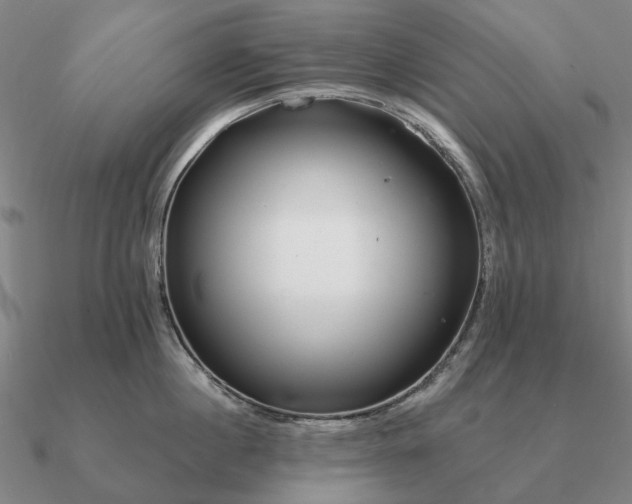 X0000090930860200708061602