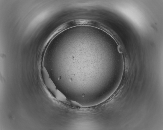 X0000090930861200708061602