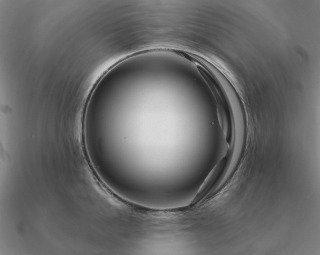 X0000090930862200708061602