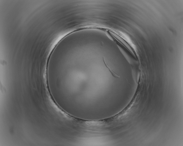 X0000090930863200708061602