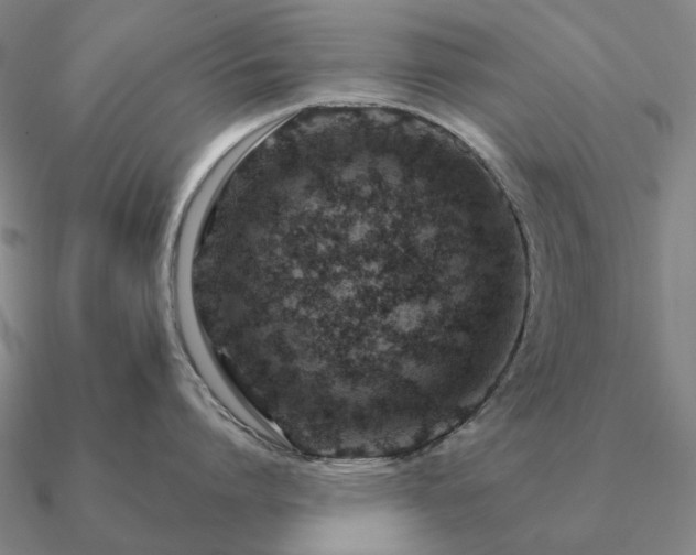 X0000090930864200708061602