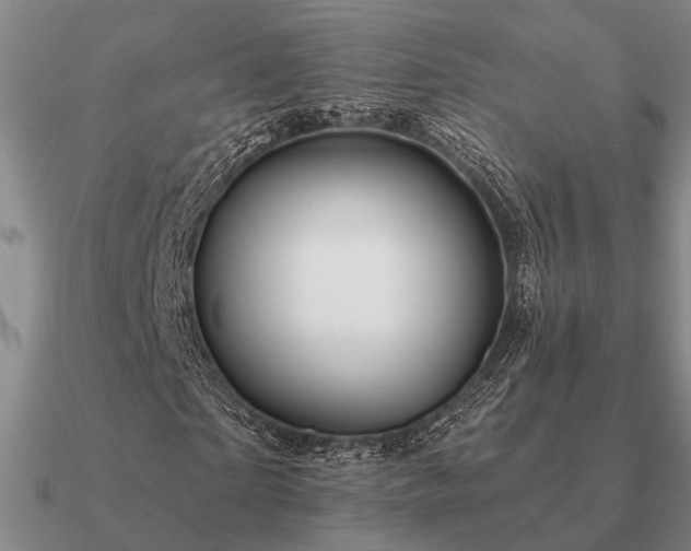 X0000090930865200708061601