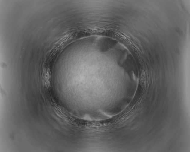 X0000090930866200708061601