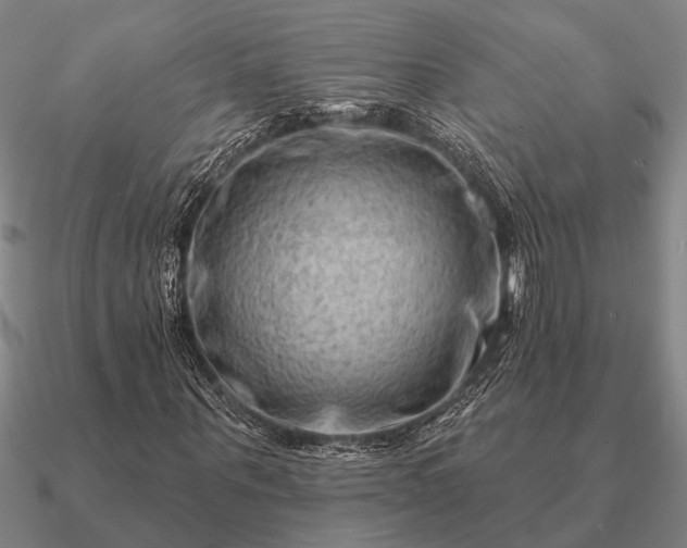 X0000090930867200708061601