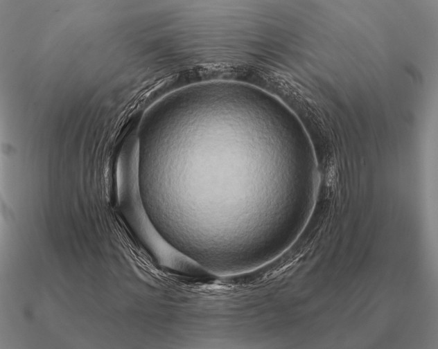 X0000090930868200708061601