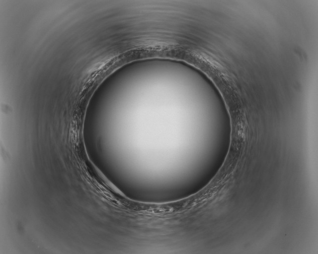 X0000090930869200708061601