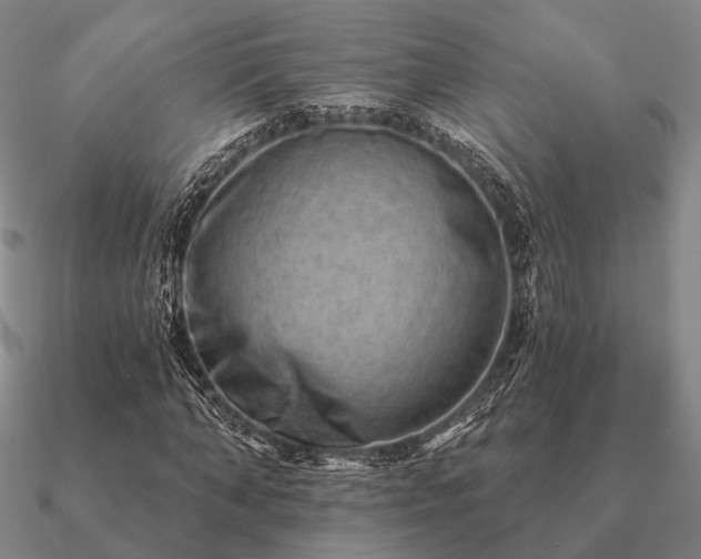 X0000090930870200708061601