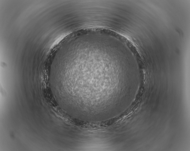 X0000090930871200708061601