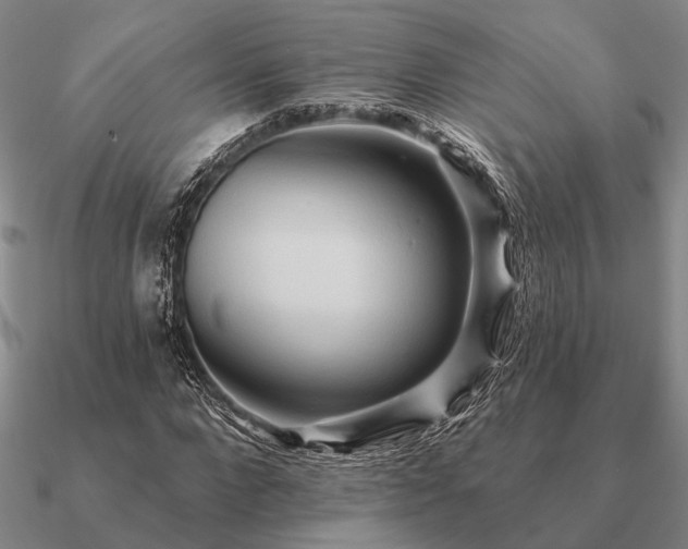 X0000090930872200708061601