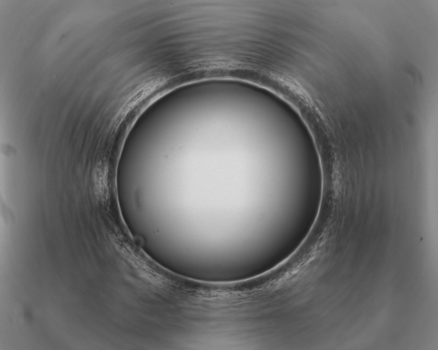 X0000090930873200708061601