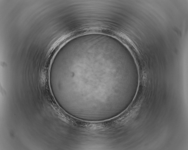 X0000090930874200708061601