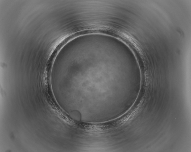 X0000090930875200708061601