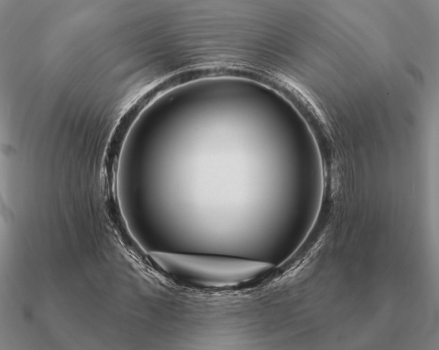 X0000090930876200708061601