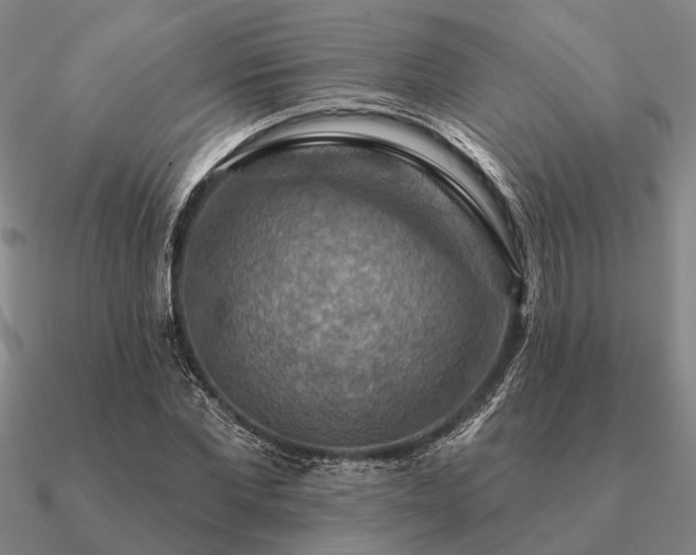 X0000090930877200708061601