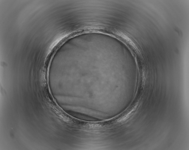 X0000090930878200708061601